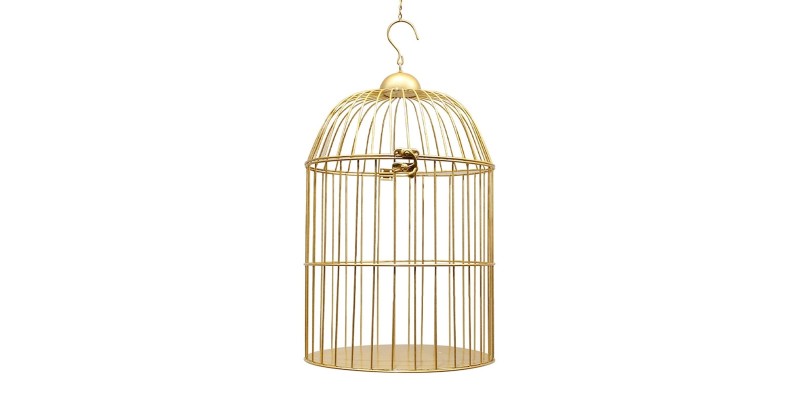 Bird cages