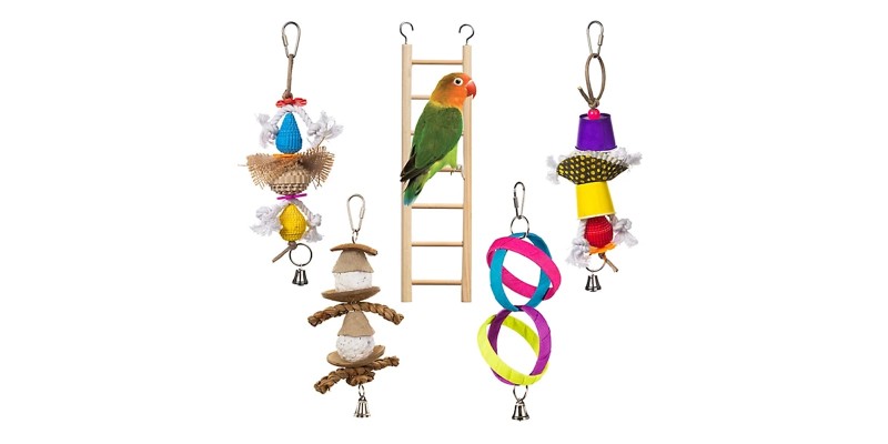 Bird toys