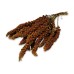 JR Farm Red Foxtail Millet