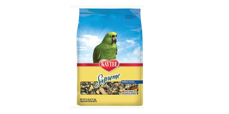 Parrot food