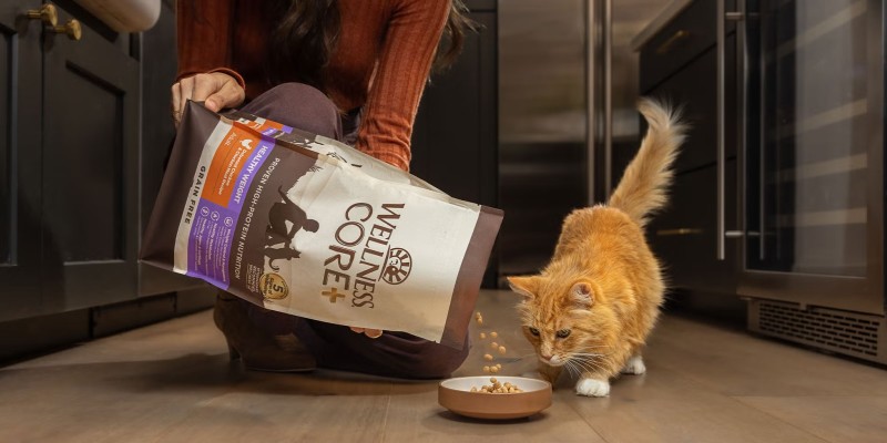 Cat food