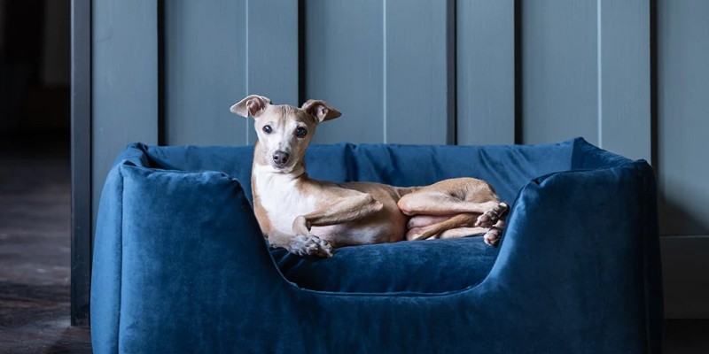 Dog beds & baskets