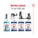 Royal Canin Maxi Adult