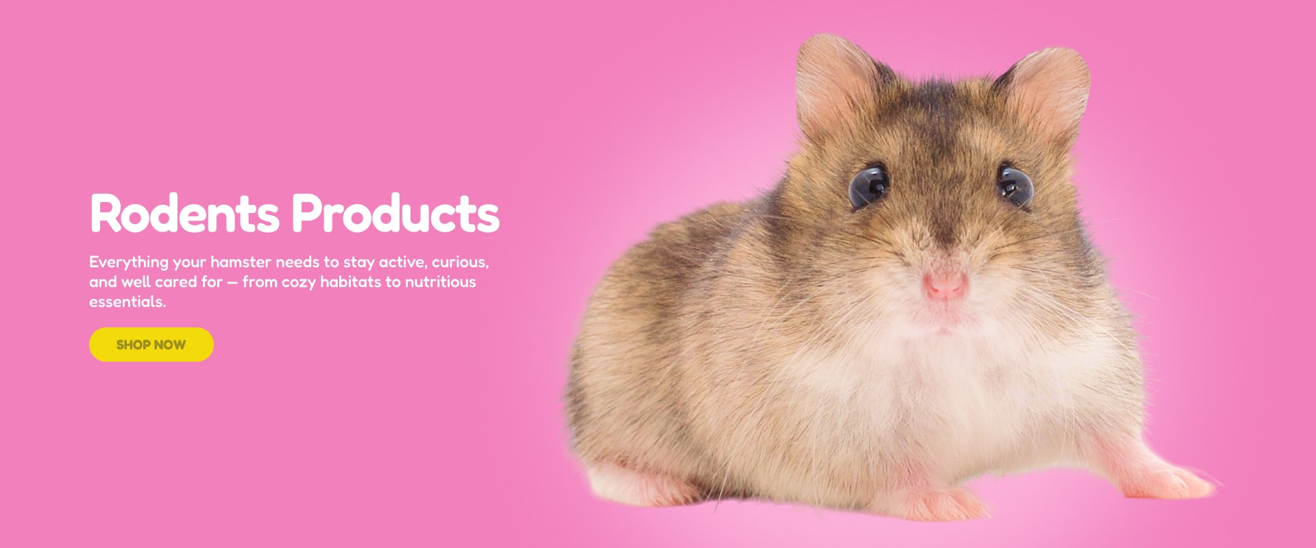 Rodents